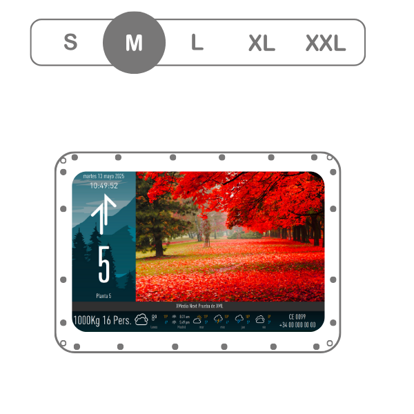 X Media Next 5
