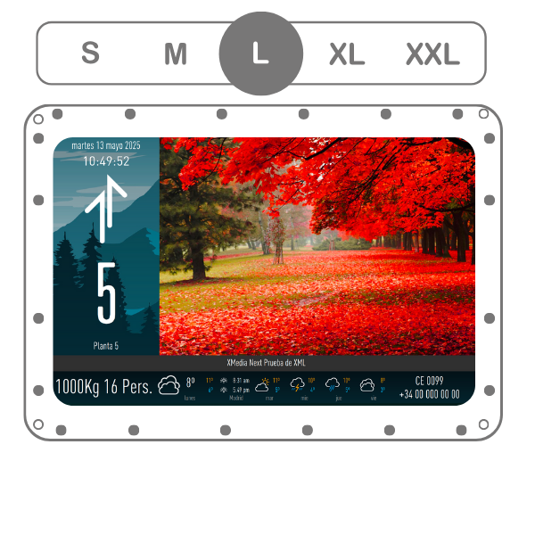 X Media Next 5