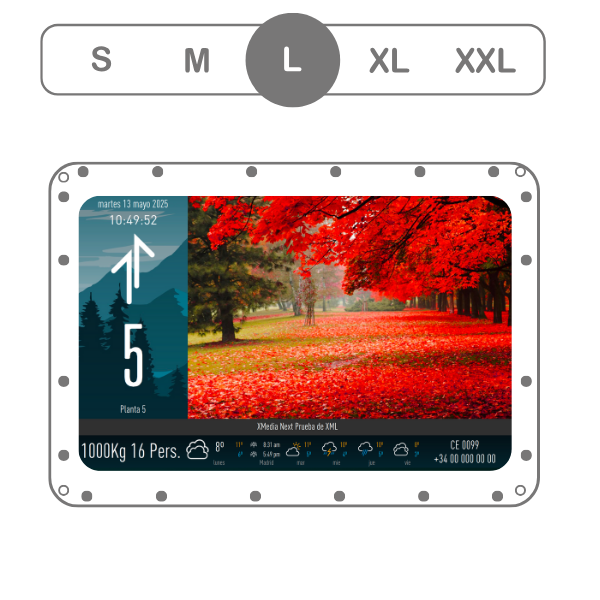 X Media Next 6